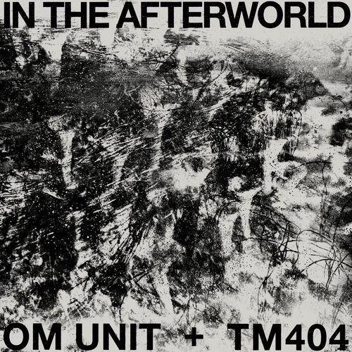 Om Unit, TM404 - In The Afterworld [ATLP17D]